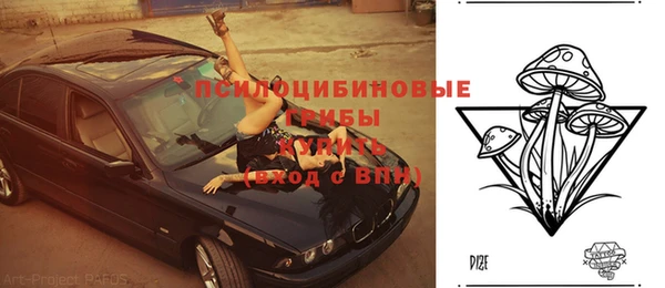 МДМА Каменка