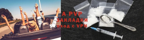 МДПВ Каменногорск