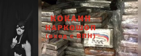 МДПВ Каменногорск