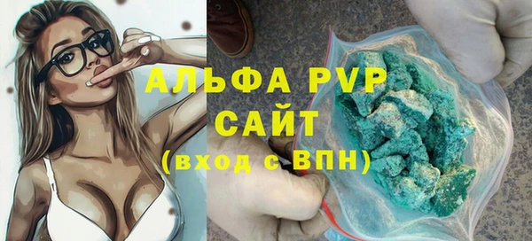 МДПВ Каменногорск