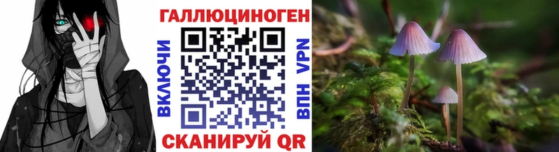 Галлюциногенные грибы прущие грибы  Купить  Городец 